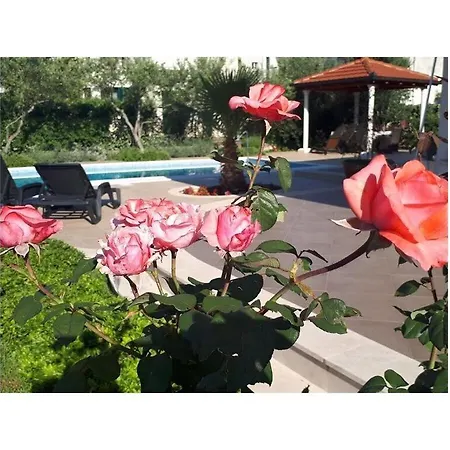 Villa Stela Comfortable *